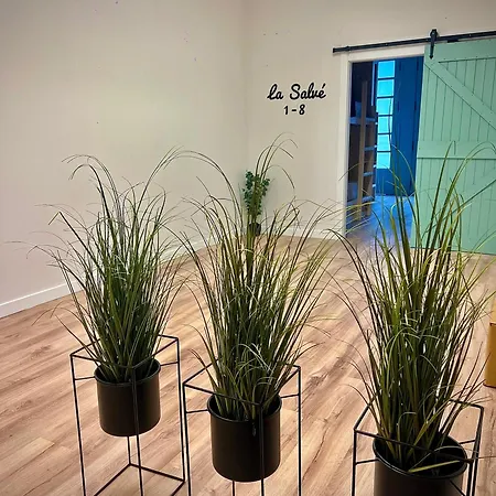 ホステル Bajamar